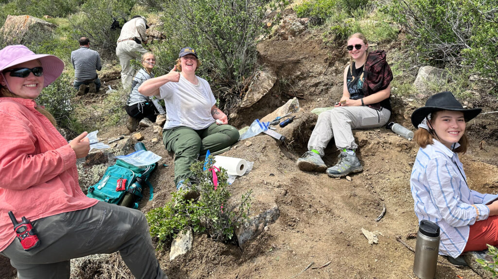 UNC students and alumni spread out in the field digging for dinosaur bones