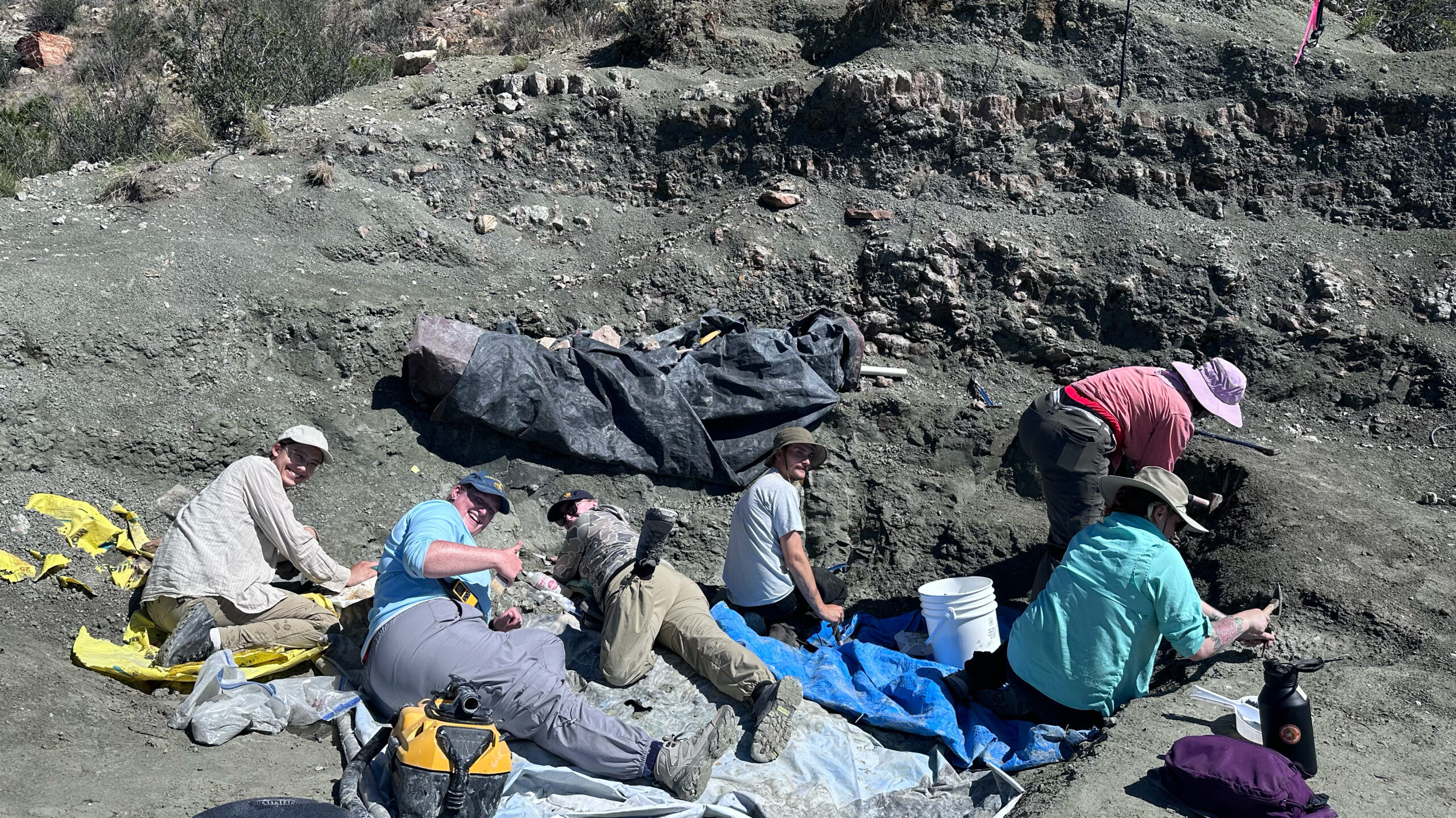 UNC students in the field digging up dinosaur bones