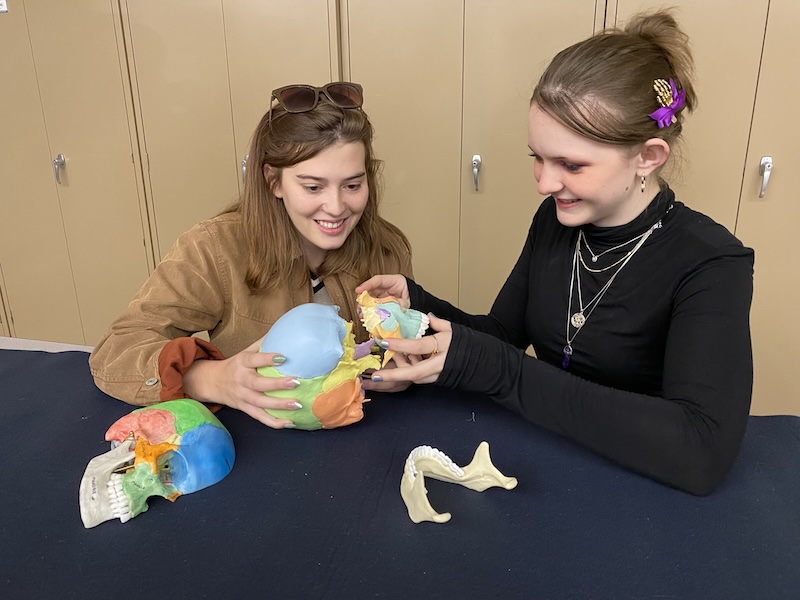 Two female anthropology students identifying bones of a human body.