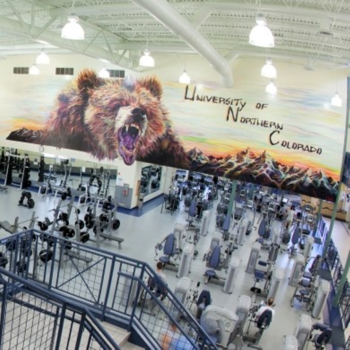 View of a mural painting of a bear and mountains overlooking a weight room