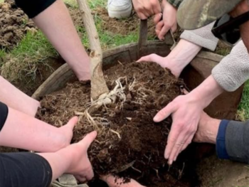 A group of people planting a tree together during Make Your Mark event