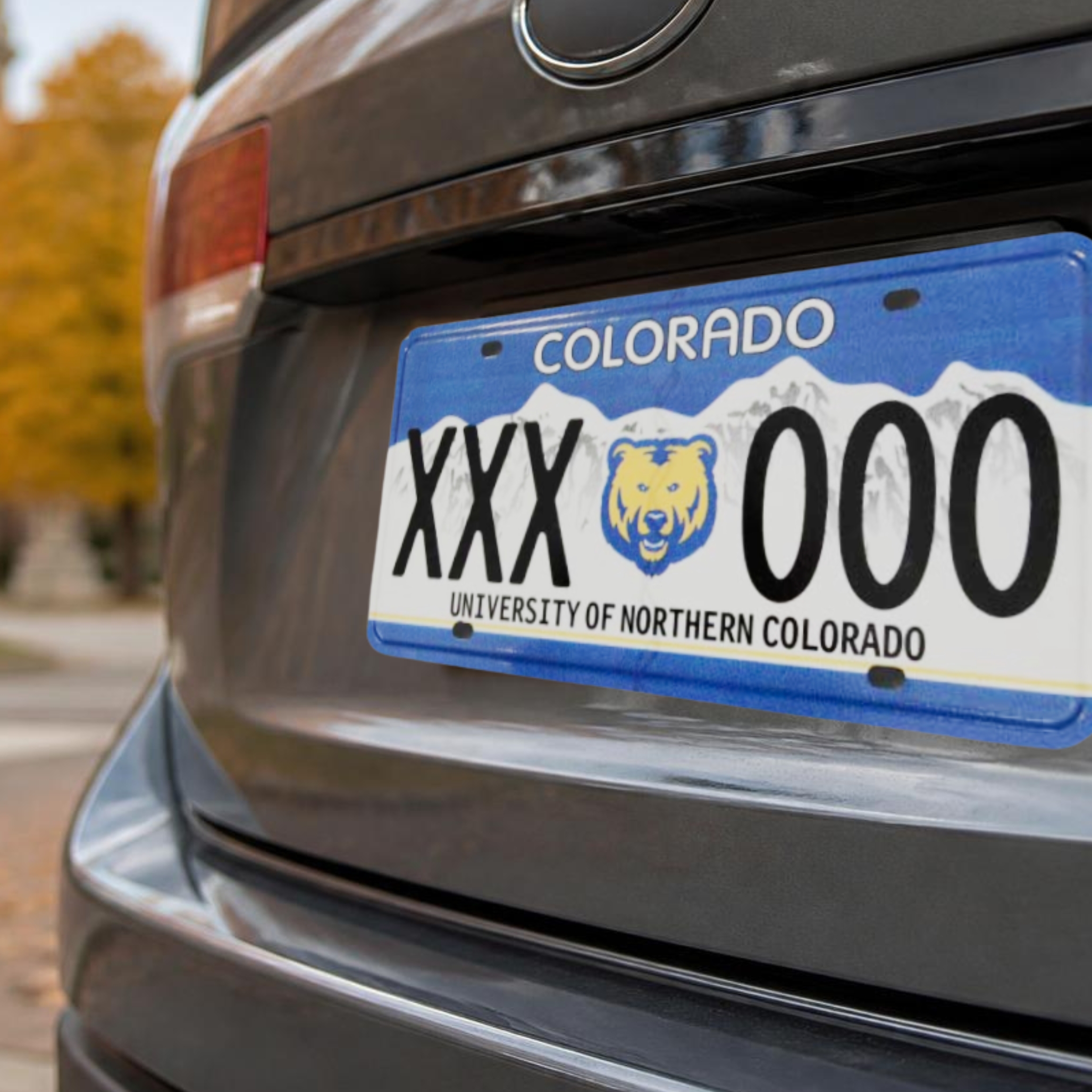 UNC license plate on grey vehicle