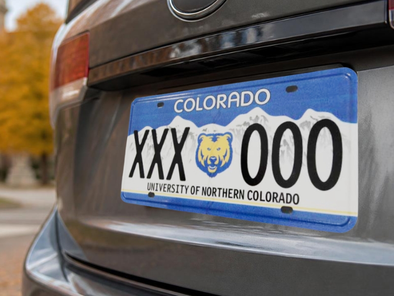 UNC license plate on grey vehicle