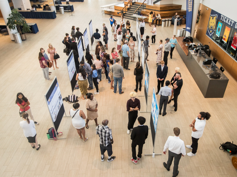 Overhead shot of poster presentations