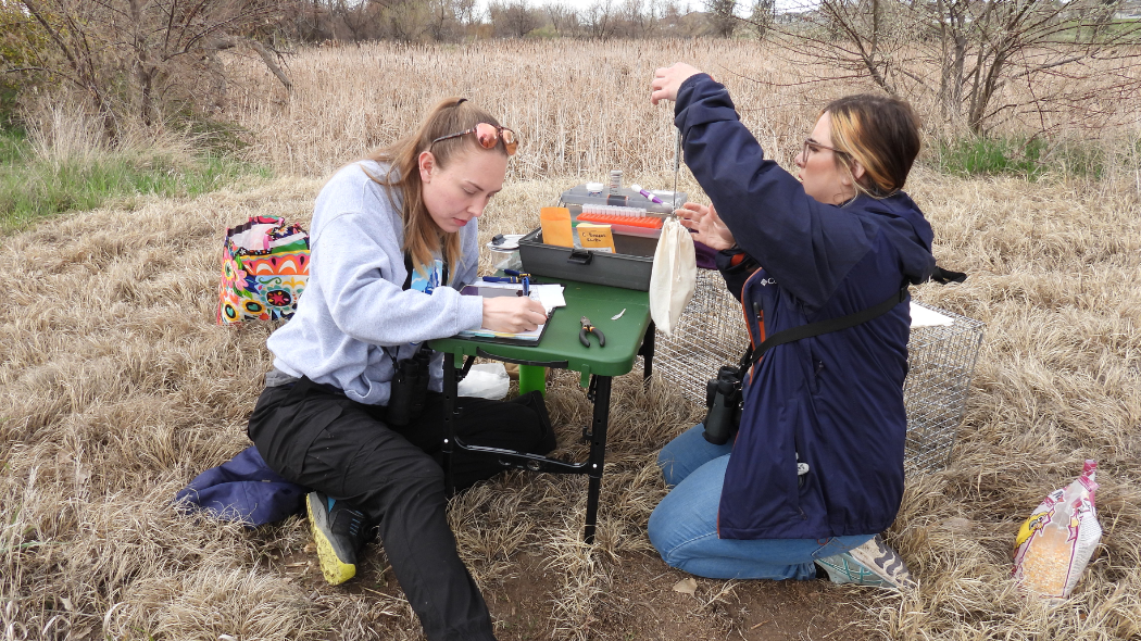 Two graduate students working at a small research station in the field.