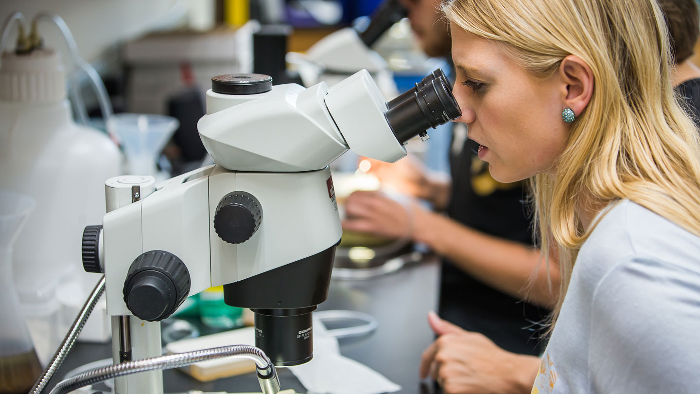 Biology student looking through a microscope.
