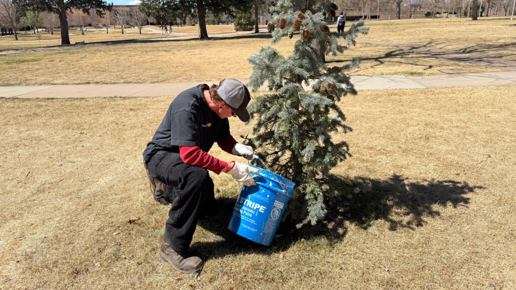 Freddy Lee holding a blue bucket working near a tree