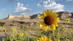 landscape view of Scottsbluff, NE