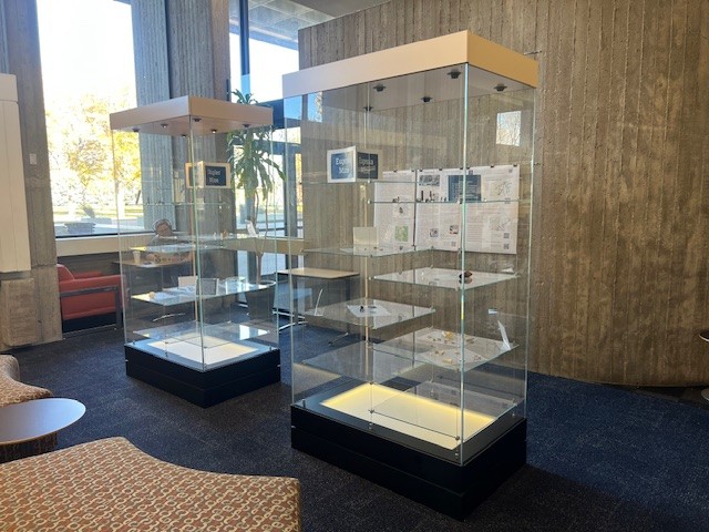 Display at the Anthropology exhibit