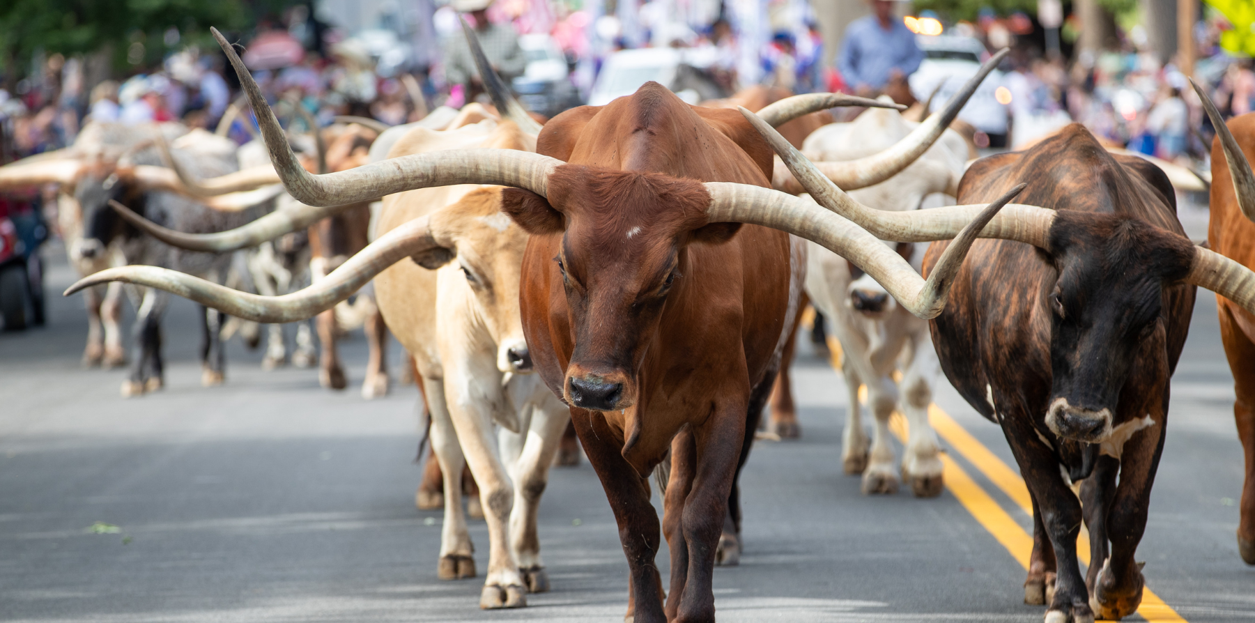 The Greeley Stampede.
