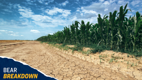 A photo of dry, cracked earth leading into a cornfield, with text that reads 