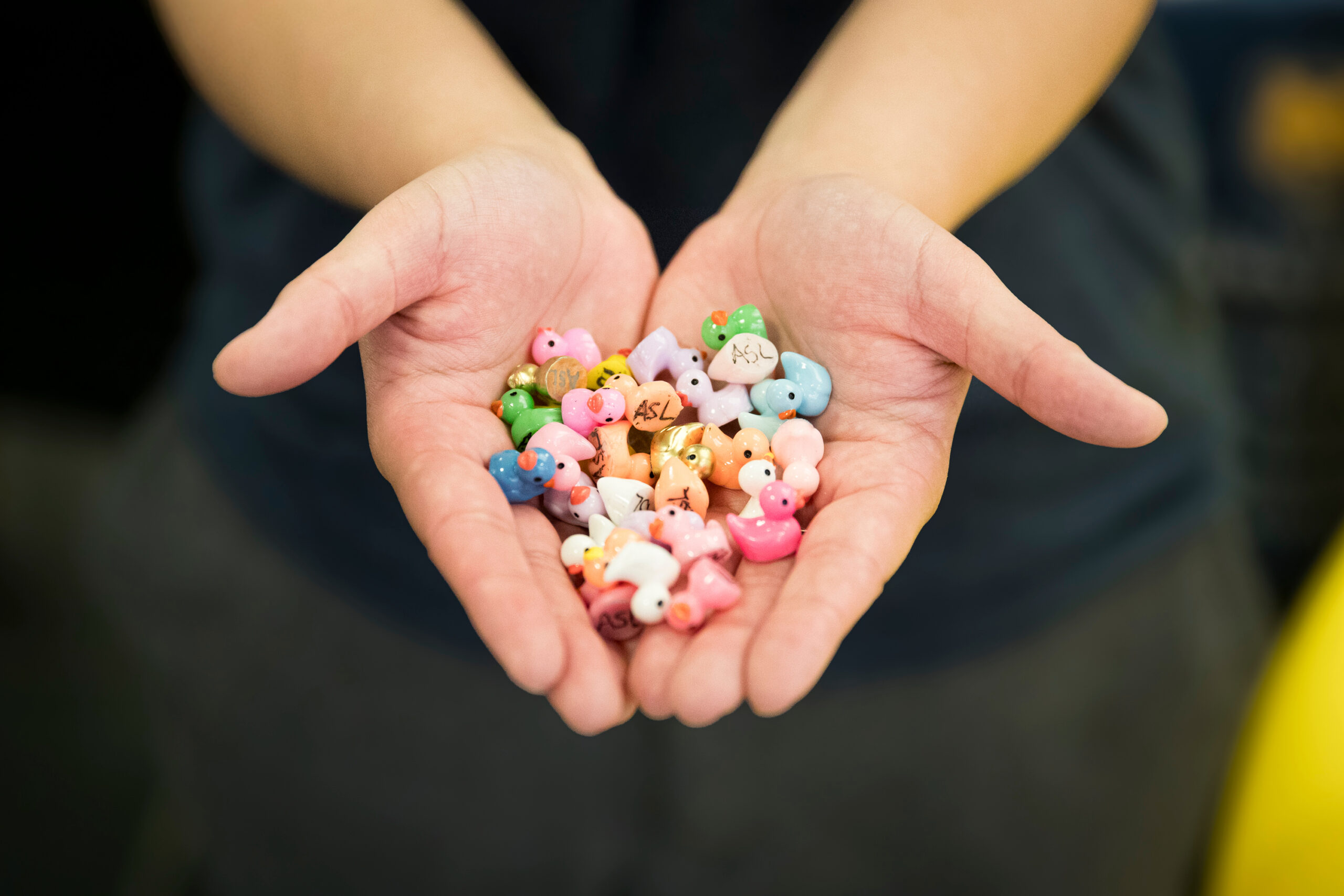 Hand holding a group of small colorful plastic ducks for the 2026 UNC Duck Hunt event.