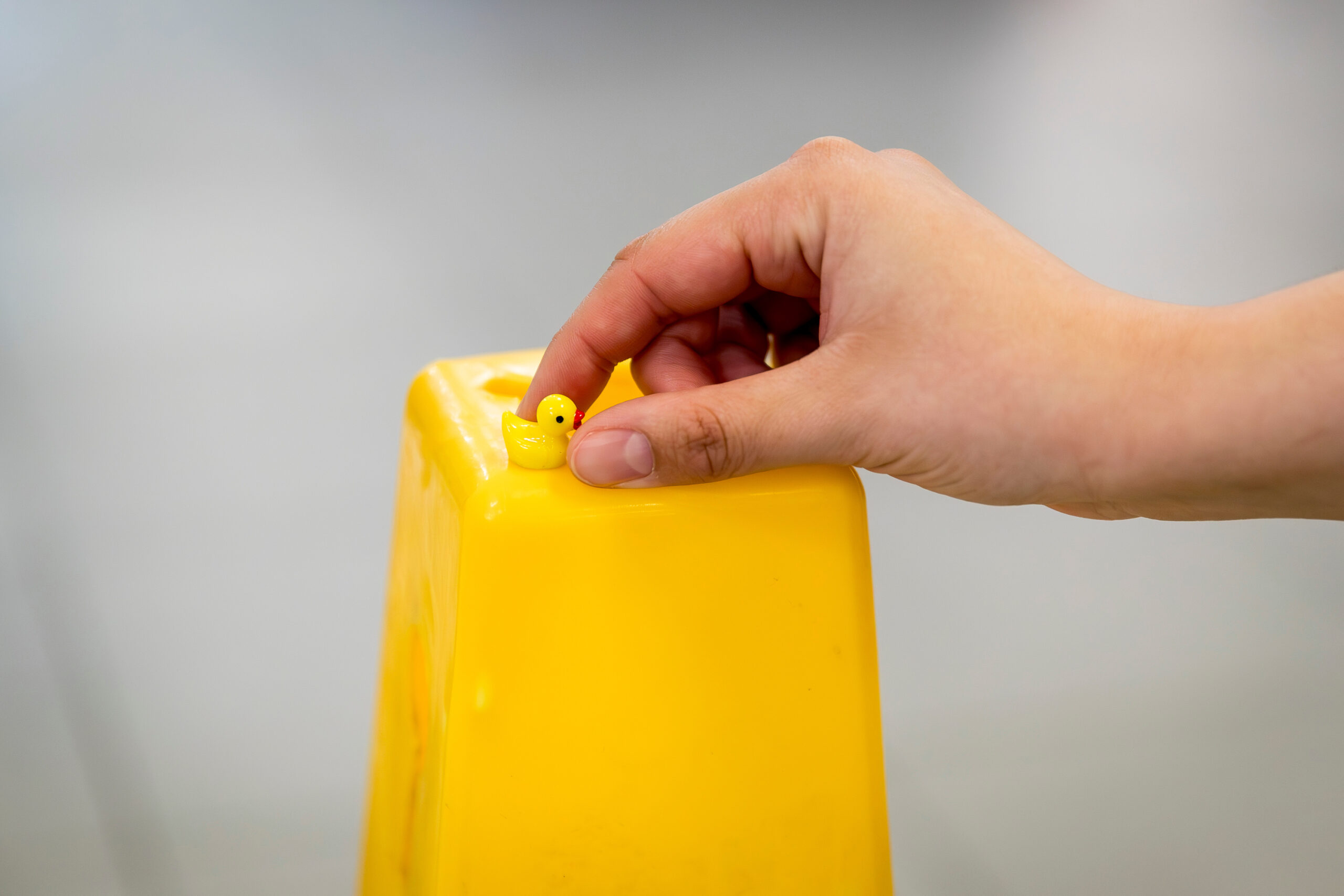 Miniature duck on campus.