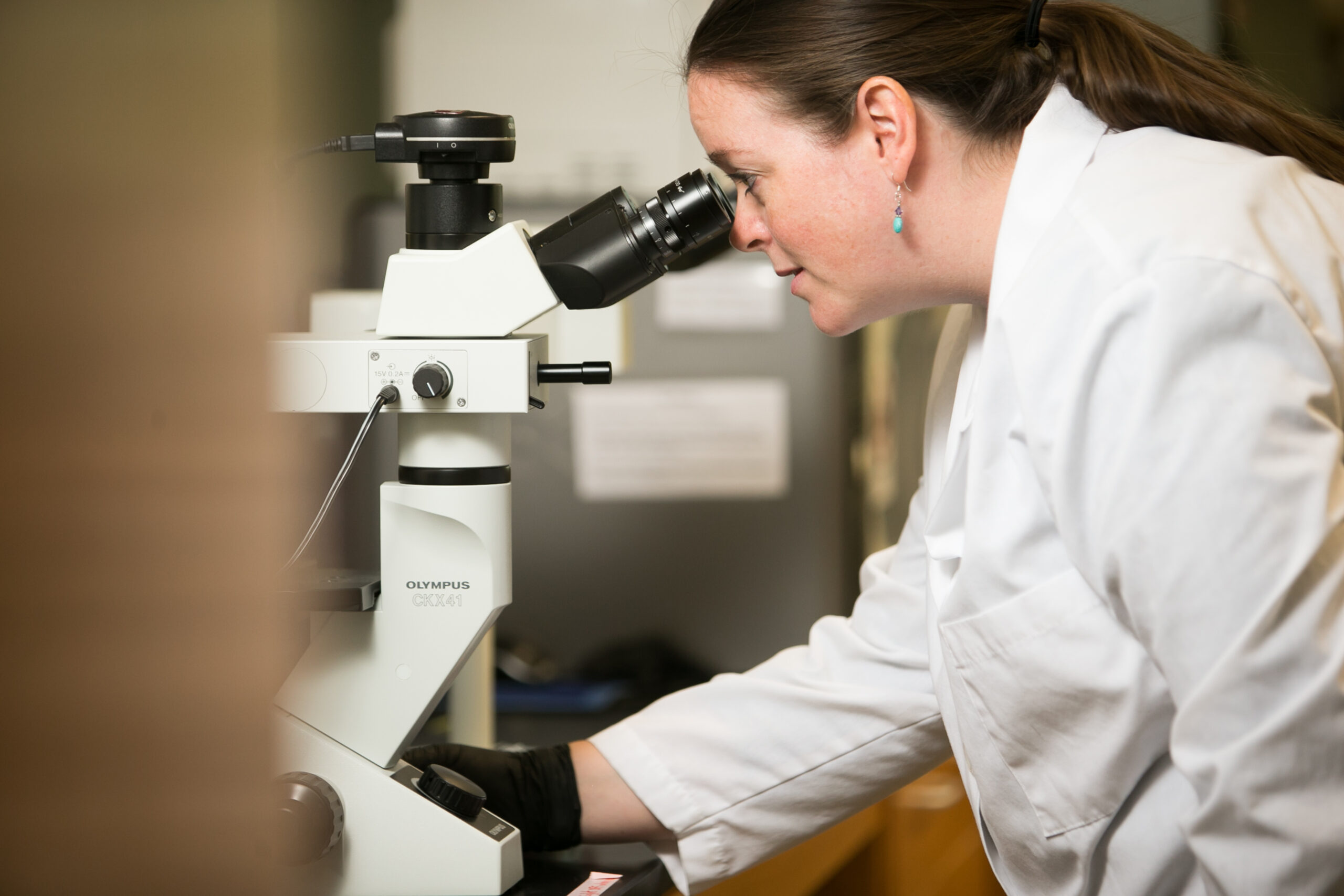 Biology professor examining a specimen through a microscope in a laboratory
