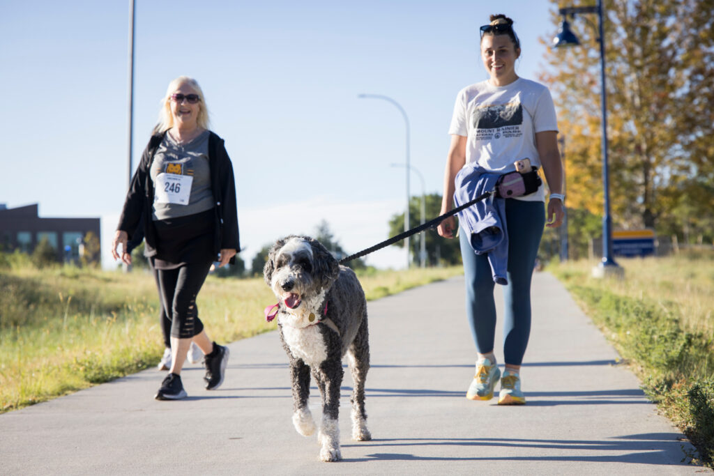 Two people walk a large, fluffy dog along a paved path on a sunny day.