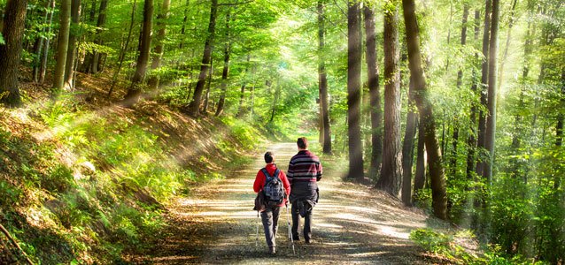 Two people walk in the shade down a dirt road in a sunny forest