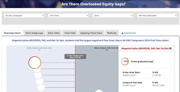 Are There Overlooked Equity Gaps?