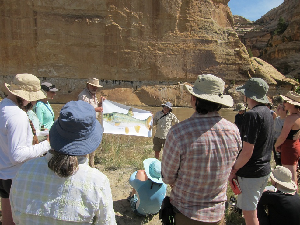 Fish Lecture on the Yampa