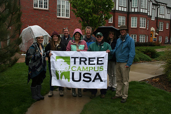 Tree Campus USA photo