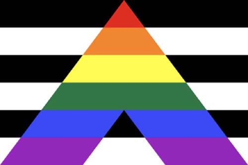 Ally Pride Flag