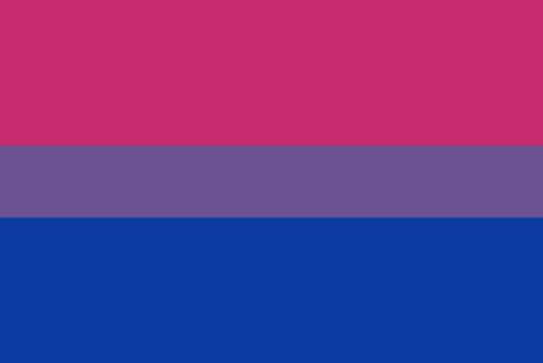 Bisexual-Pride.jpg