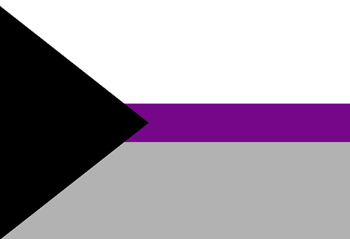 gay pride flag with triangle