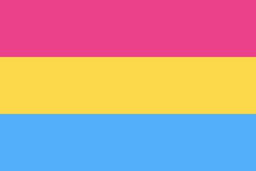 Pansexual Pride Flag