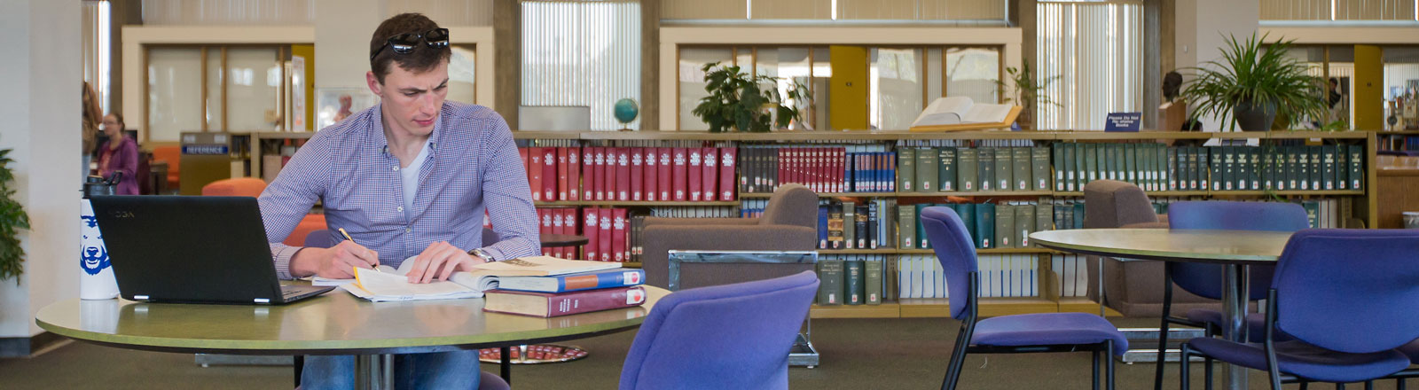Intensive English Program Student studying in Michener Library