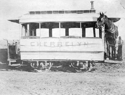 A Horse Riding a Streetcar