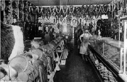 A Saddle And Harness Shop