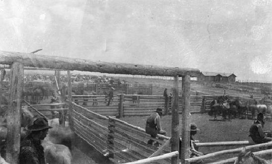 North Park Horse Round Up (1888)