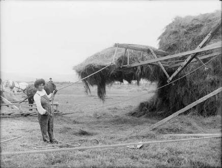 Woman Working Hay Lift (1890)