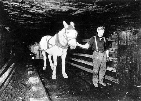 Coal Miner With A Horse
