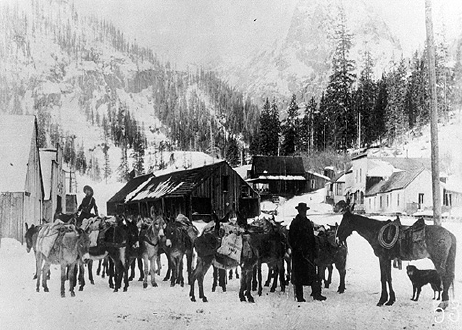 Pack Train At a Mining Camp
