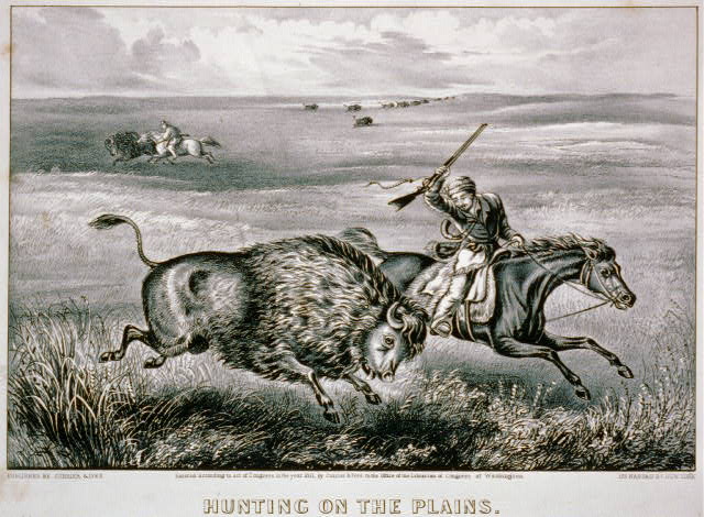 Hunting On The Plains