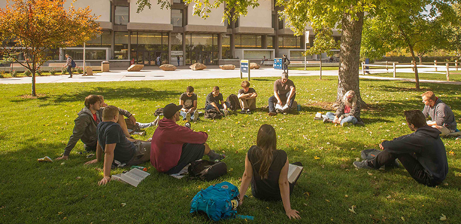 Group of students sitting in a cirlce outside under a tree