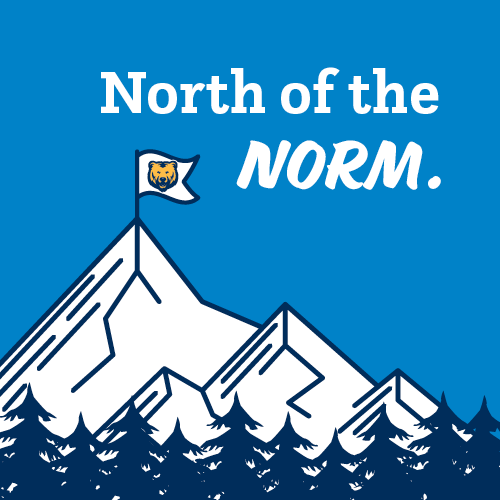 Visual graphic to represent the North of the Norm campaign.