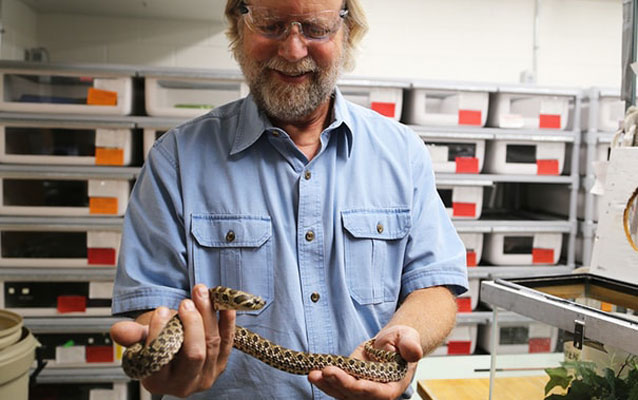 Dr. Mackessy with a snake