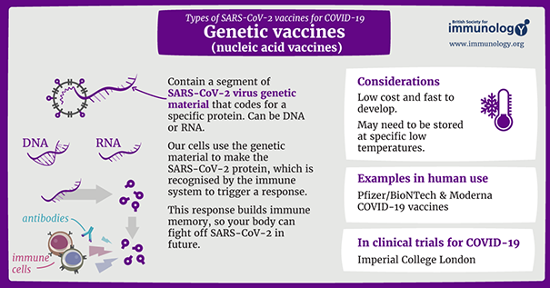 Genetic vaccines for COVID-19 infographic