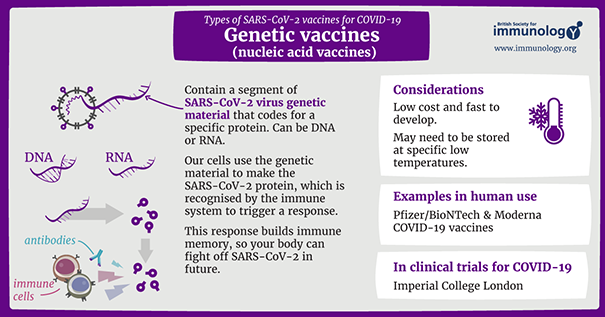 UNC Immunology Expert Discusses COVID-19 Vaccines, Debunks Misinformation