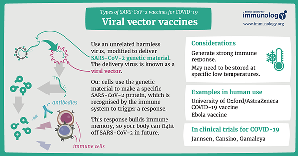 BSI resource Viral vector vaccines for COVID19
