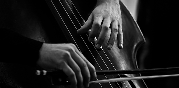 Hands of a musician playing on a double bass closeup in black and white tones.