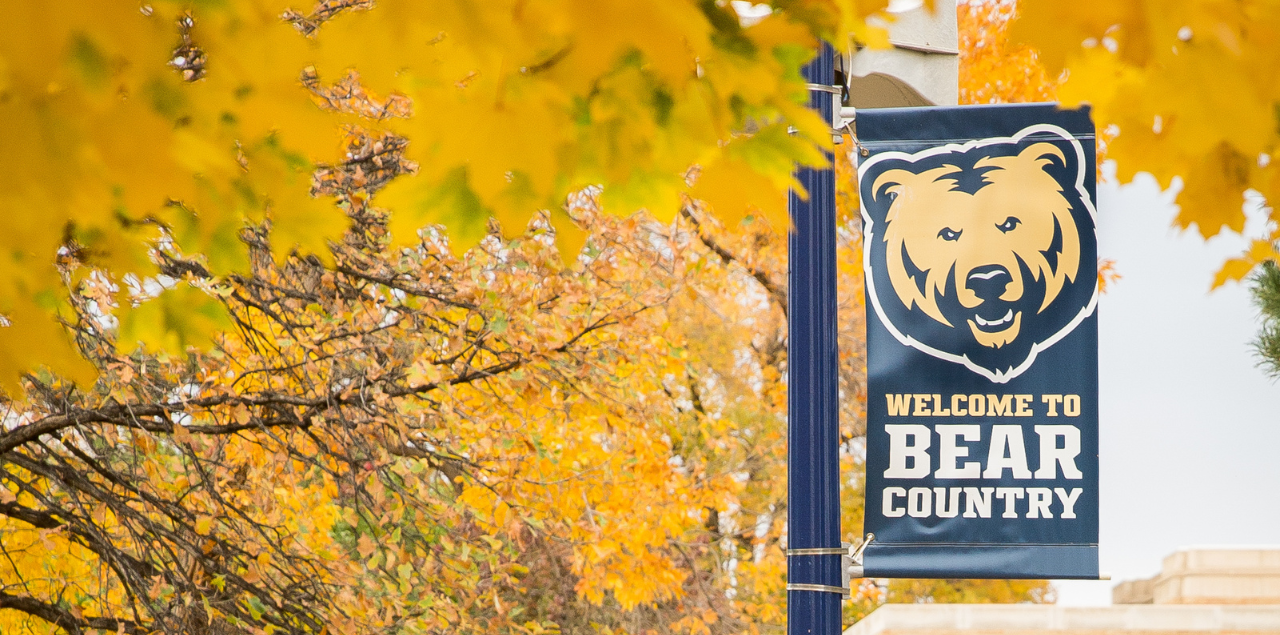 A UNC Bear Country flag amidst fall foliage.