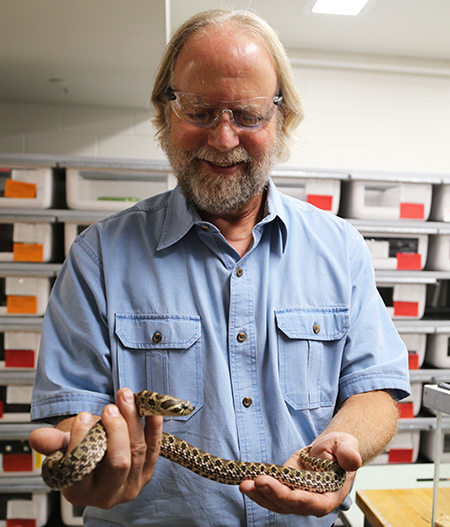Steve Mackessy and a hognose snake