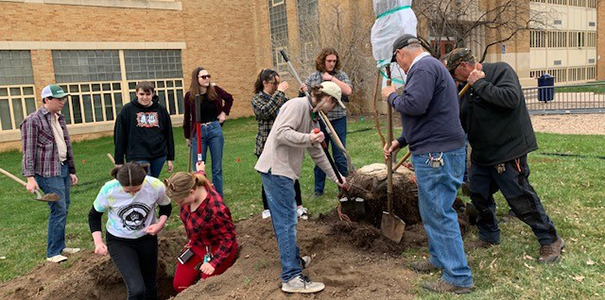 students and staff digging a hole in the grass to plant a tree