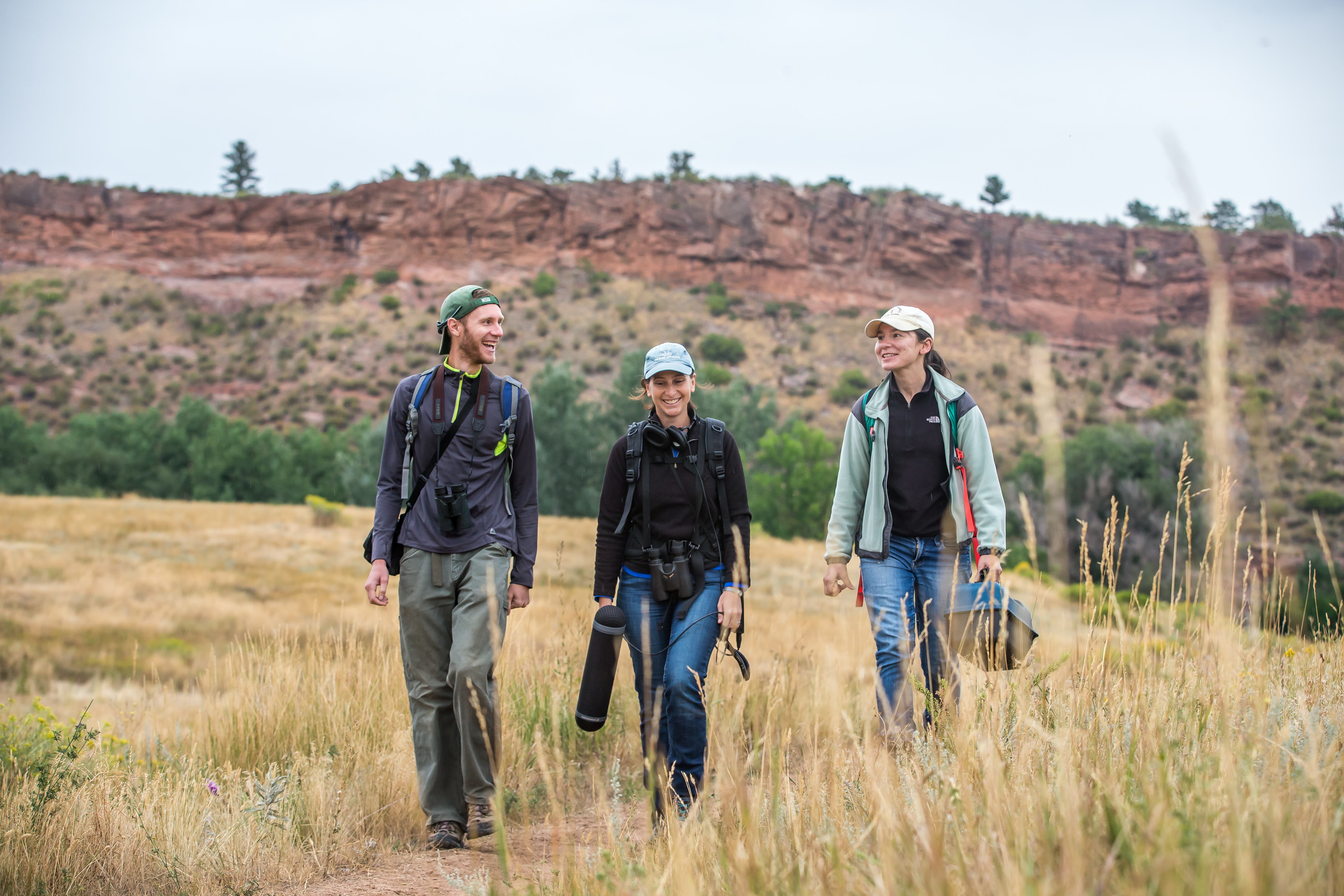 Zoology certificate image