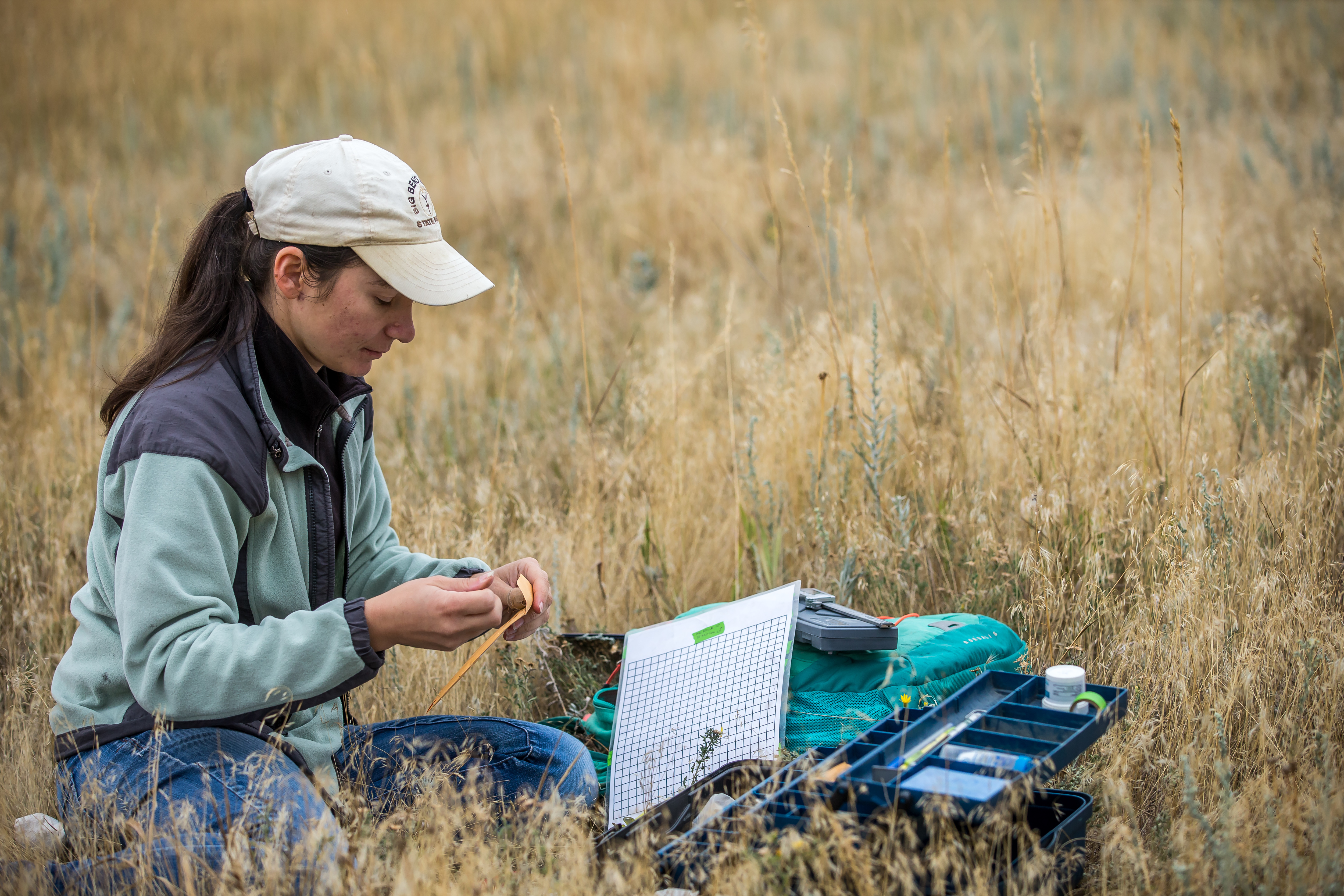 Wildlife certificate image