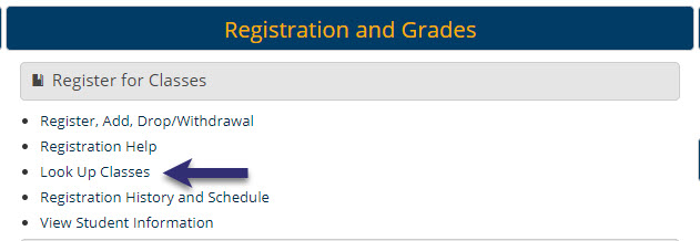 lookup classes lookup classes