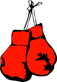 Picture of boxing gloves