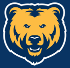 picture of the UNC Bear